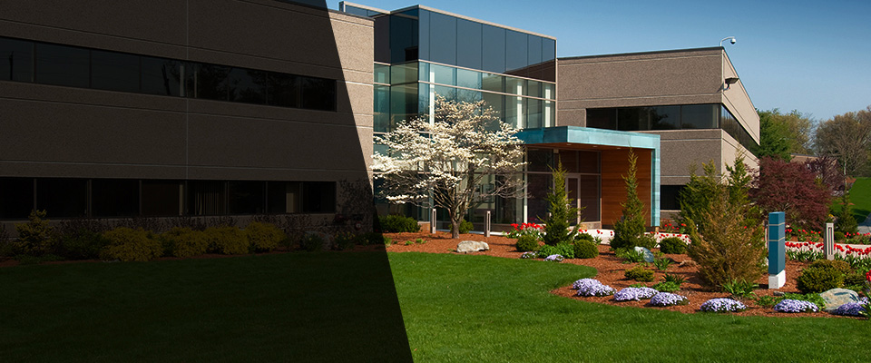 Forest Lake Landscapers