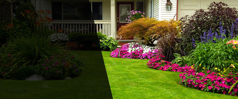 Forest Lake Landscapers