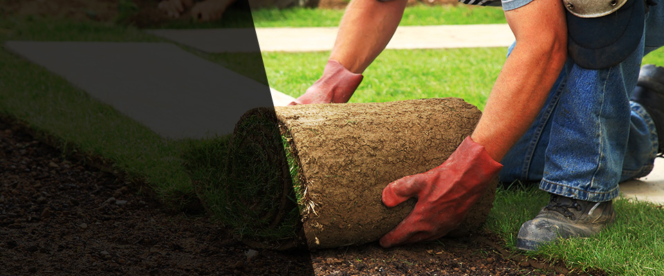 Forest Lake Landscapers